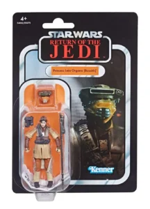 Princess Leia Organa (Boushh)