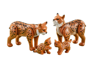 Lynx Family