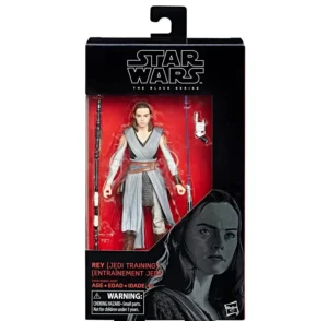 Rey (Jedi Training)