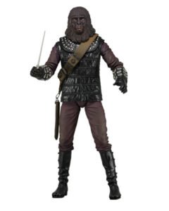 General Aldo