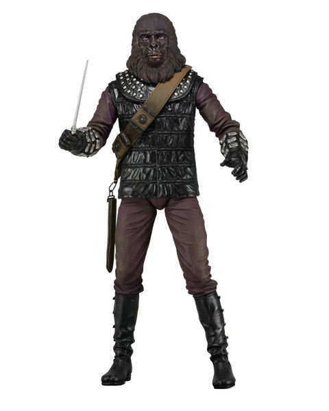 General Aldo (From 2 Pack)