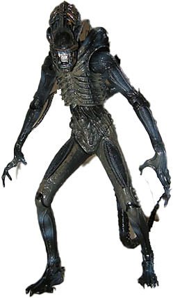 Alien Warrior