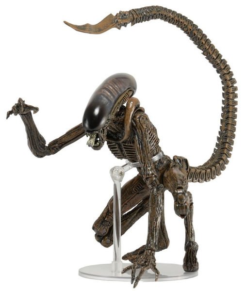 Dog Alien