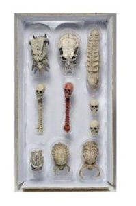 Skull Pack