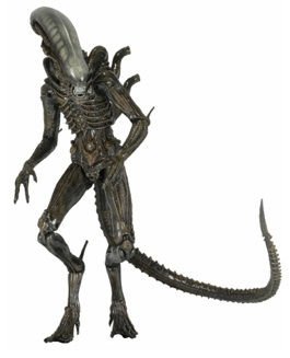 Isolation Alien