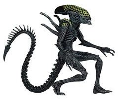 Grid Alien