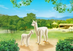 Alpaca with baby