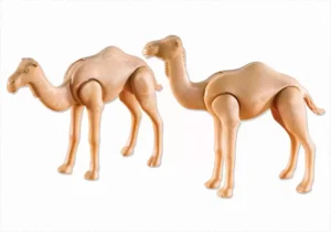 2 Dromedaries