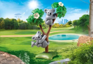 Koala family
