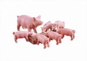 Pig and 6 Piglets