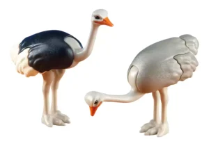 2 Ostriches