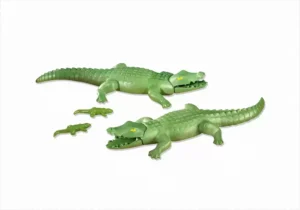 2 Large Alligators with 2 Small Alligators