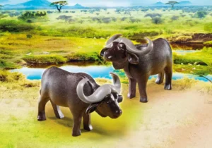 African buffalos