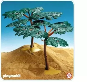 2 Acacia Trees