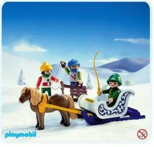 Pony Sleigh