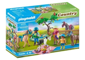 Picnic Adventure with Horses