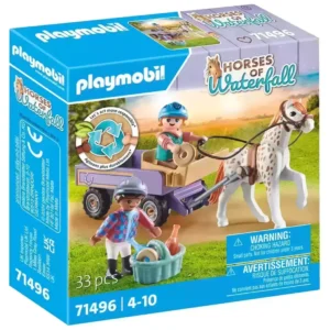 Pony carriage