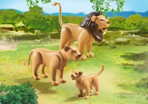 Lion Family