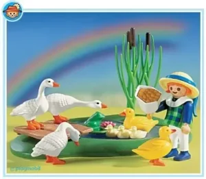 Duck and Goose Pond