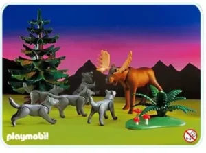 Wolf Pack And Moose