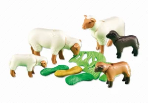 Sheeps and lambs