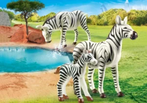 Zebras with baby