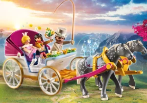 Romantic Horse Carriage