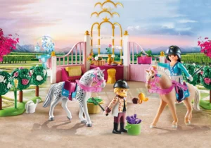 Riding Lessons in Horse Stable