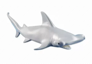 Hammerhead Shark