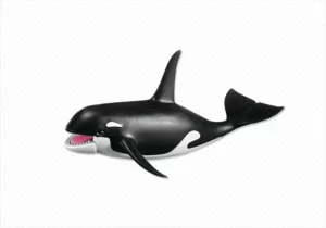 Orca Whale