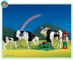 Cows With Boy