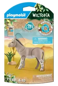 African Wild Donkey