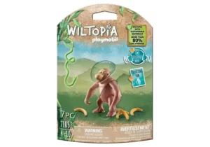 Orangutan