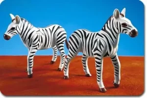 2 Zebras