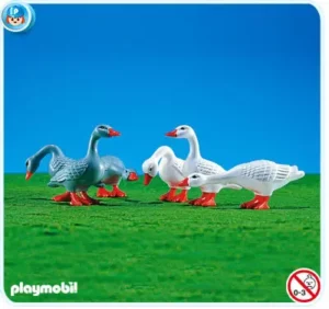 6 Geese
