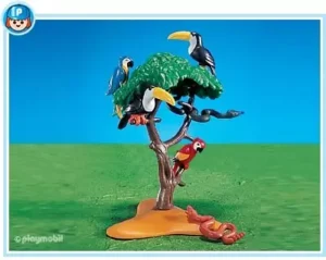 Exotic Birds