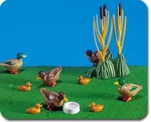 Ducks