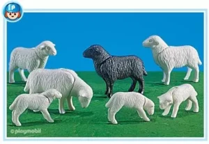 4 Sheep and 3 Lambs