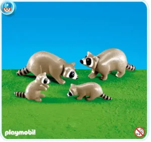 Raccoon family
