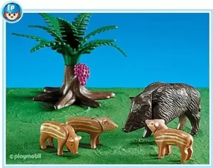 Wild Boar Family