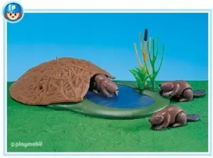 3 Beavers