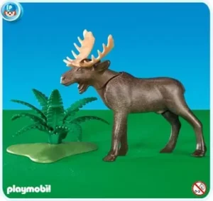 Moose