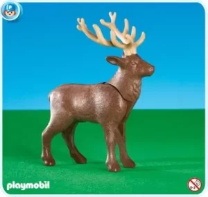 Elk
