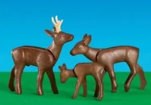 Deer family