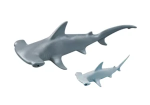 Hammerhead shark with baby