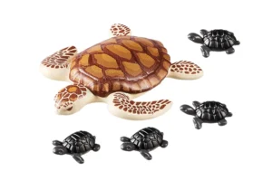 Water turtle with baby