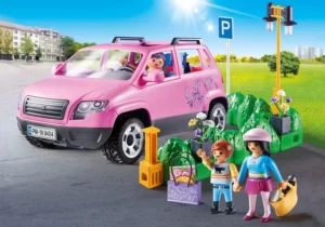 Family Car