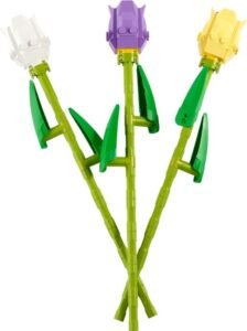 Tulips