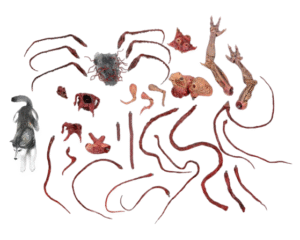 Dog Creature