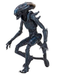 Xenomorph, Arachnoid